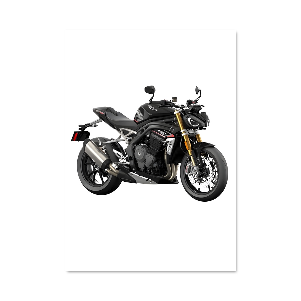 Poster magnifique Speed Triple RS